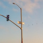 Shawn Brown - What A Way To Go