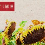 Big Time - Old Fashioned