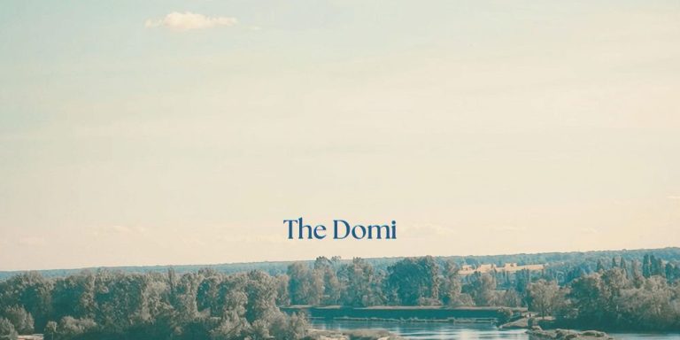The Domi - No More Scars