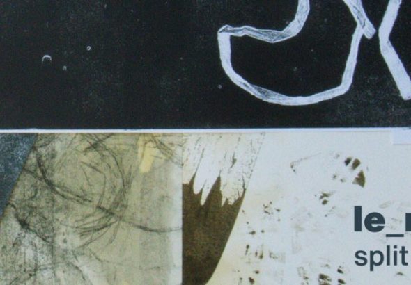 le_mol - split split LP (Noise Appeal Records)