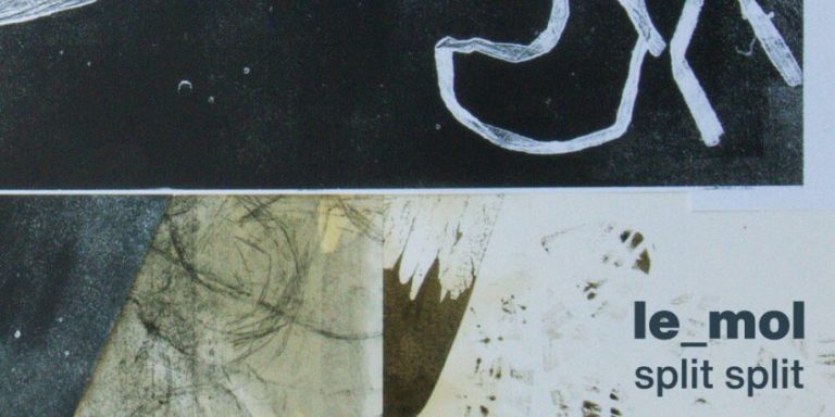 le_mol - split split LP (Noise Appeal Records)
