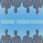 Marinada - Savršena Marinada LP - PDV
