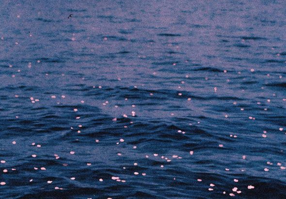 Wotts - swim song