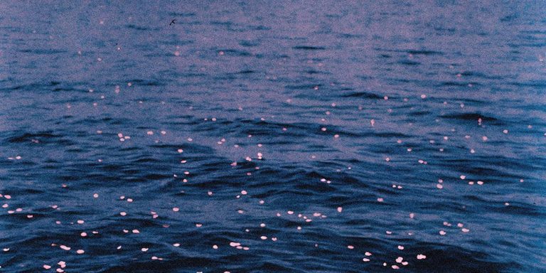 Wotts - swim song