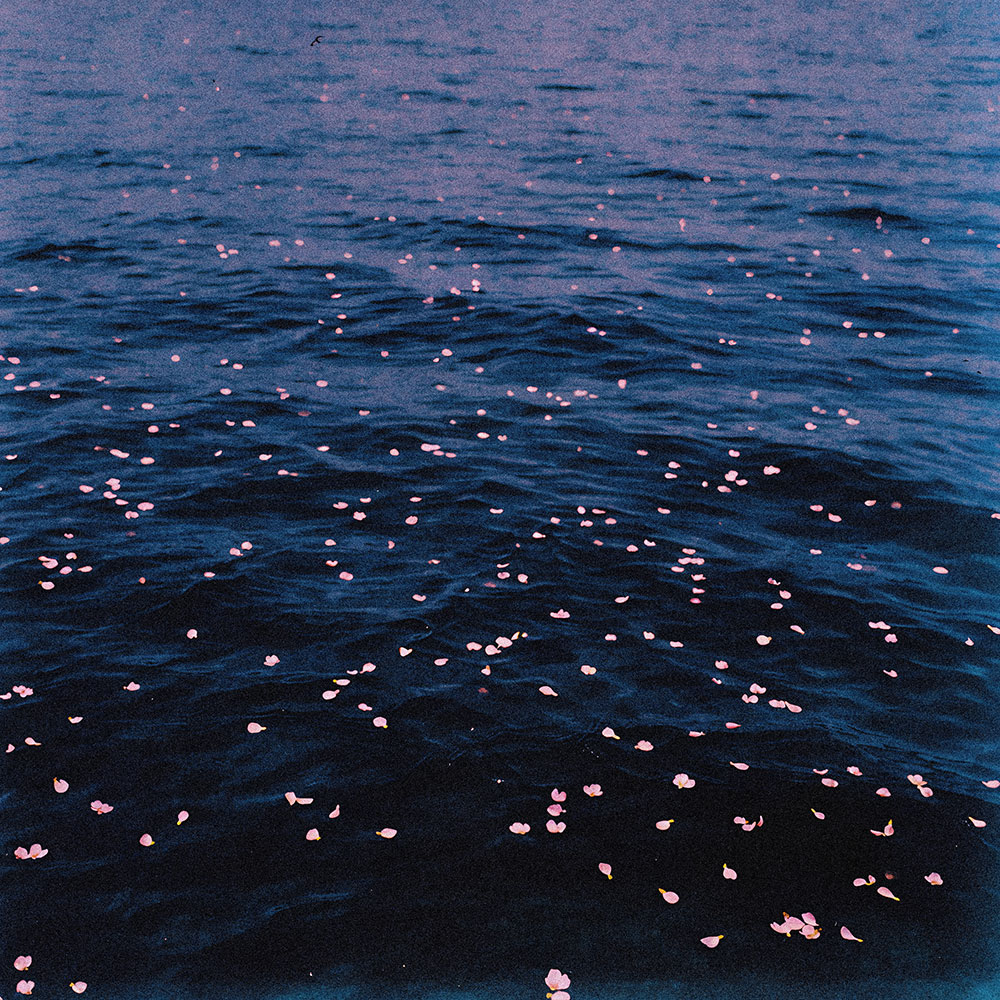 wotts_swimsong.jpg
